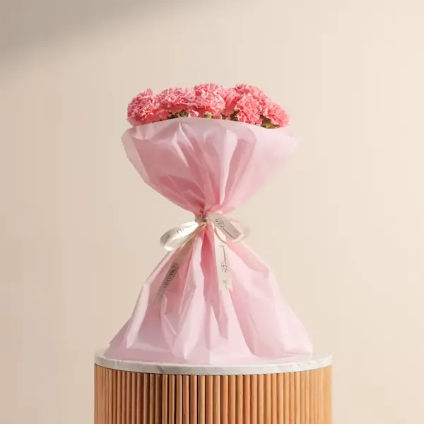 Delicate Pink Carnation Bouquet | Code 166