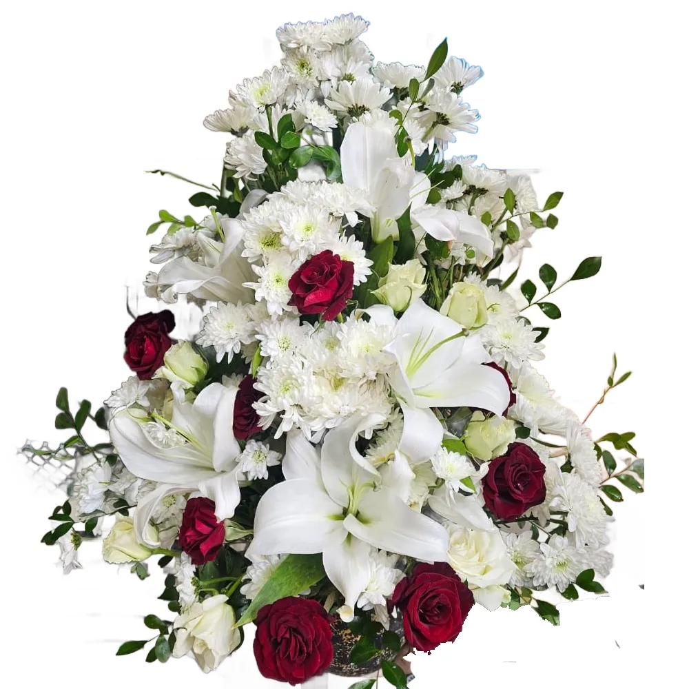 New Arrangement | Code 141