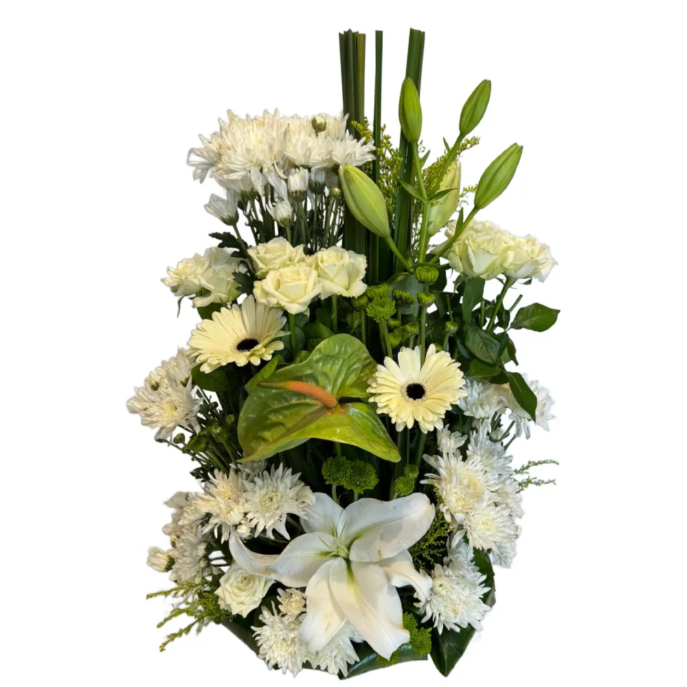 New Arrangement | Code 145