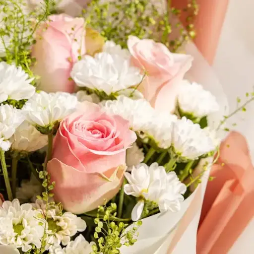 [165] زهرة | كود 165